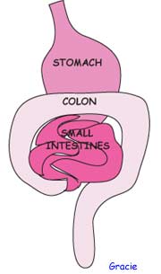 psyllium fiber flaxseed acidophilus helps acid alkaline balance colon cleansing