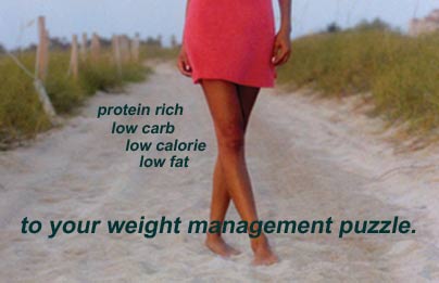 high protein, low carb, diet, weight loss