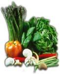 veggie1.jpg (4667 bytes) health products, vitamins, minerals, nutritional supplements, antioxidants, herb
